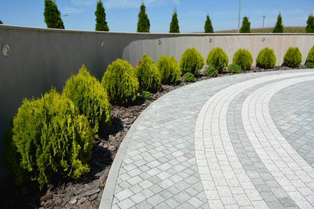 Best Driveway Resurfacing Pavers  in San Rlos, CA